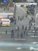 国度列为变乱义务从体之一